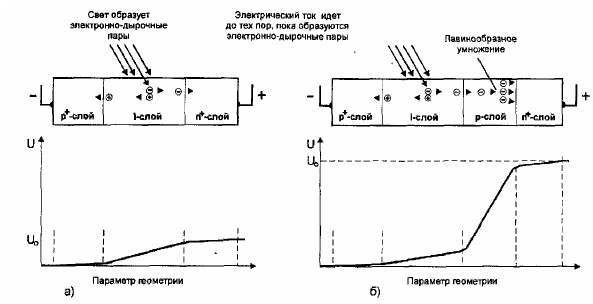 Структура, включение и распределение потенциала