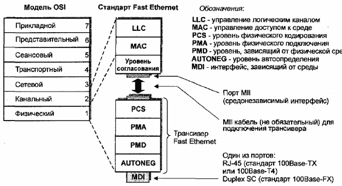 Структура уровней стандарта Fast Ethernet